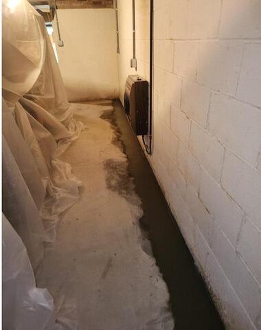 Basement Blues Fixed in Export, PA