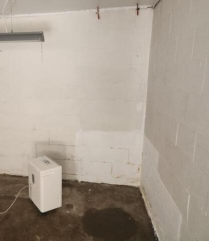 Basement Blues Fixed with Triple the Power in Export, PA