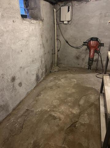 Turning Basement Blues into Bright Views in Aspinwall, PA - Before Photo