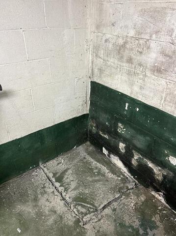 A Basement Reborn in Pittsburgh, PA