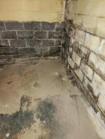 Fully Restored in Apollo, PA - Before Photo