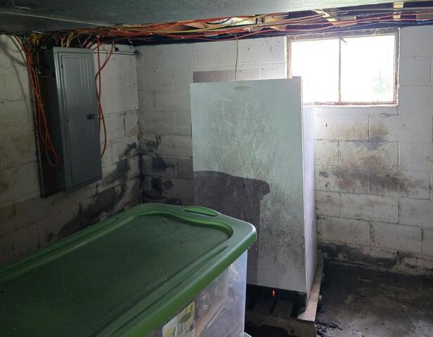 From Damp to Defended in Saint Clairsville, OH - Before Photo