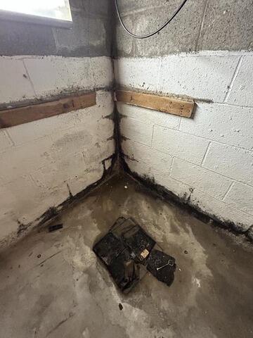 Another Basement Made Drier in Brackenridge, PA - Before Photo