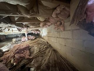 Dry, Cozy, and Safe in Terra Alta, WV