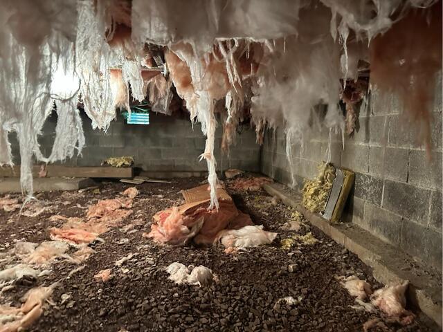 Crawl Space Contractor in Mountain Top, PA - Before Photo