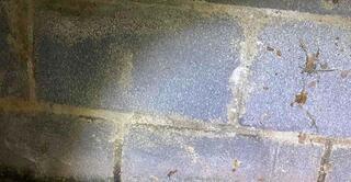 Mold Remediation in Carlisle