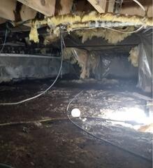Crawlspace Encapsulation in Sweet Valley