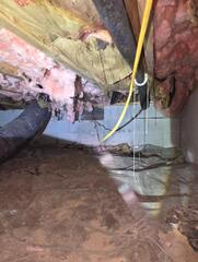 Crawl Space Encapsulation in Berwick, PA