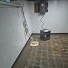 Wet Basement Repair in Whitehall, PA