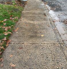 Front Sidewalk Trip Hazard in Carlisle