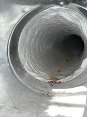 Noodles in the ducts, anyone? - Omaha, NE