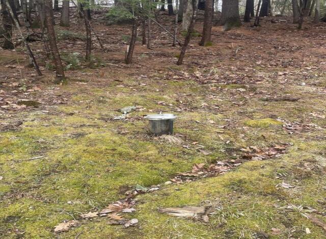 Cleaner Water and Added Protection in Casco, ME - Before Photo