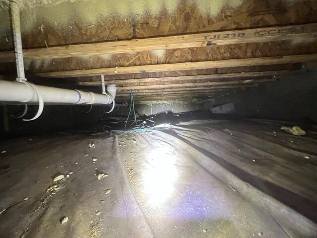 Complete Crawl Space Transformation in St. Augustine, FL - From Damp & Dirty to Clean & Protected - Before Photo