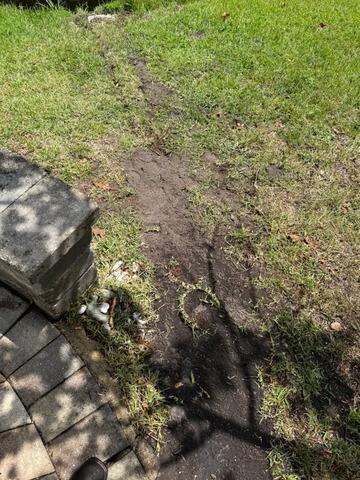 Solving Yard Erosion with a Smart Drainage Upgrade in Atlantic Beach - After Photo