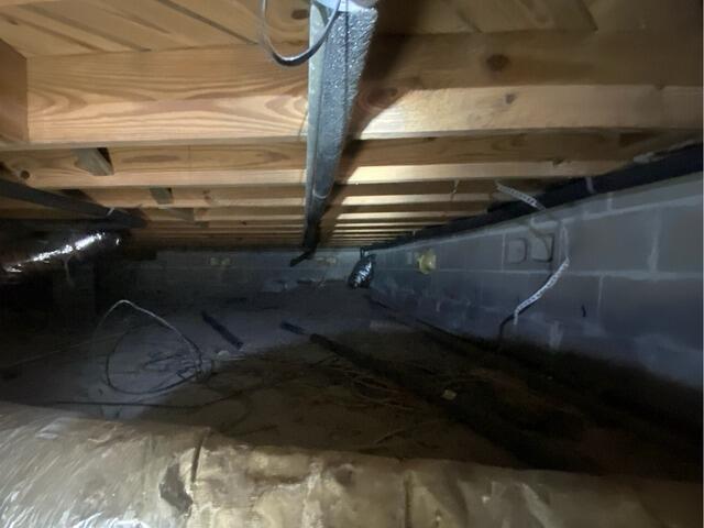 Crawl Space Encapsulation for Moisture Control | Jacksonville, FL - Before Photo