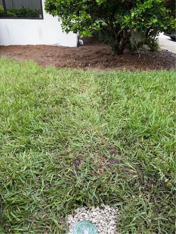 Exterior Waterproofing Installation in Jacksonville, FL - After Photo