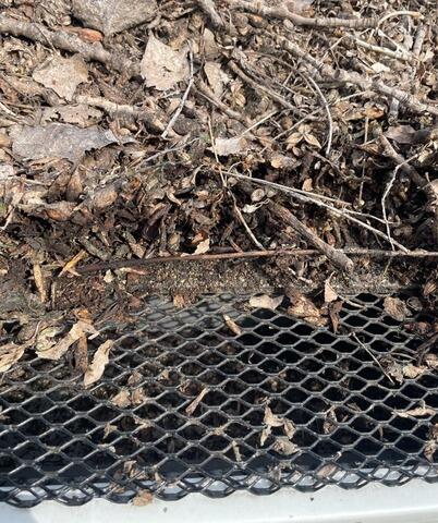 Gutter Cleaning in St. Cloud - Before Photo