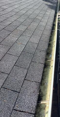 Gutter cleaning & gutter guards in St. Cloud - Before Photo