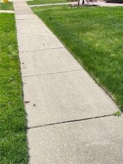 PolyLevel and NexusPro Installation in Massapequa Park, NY