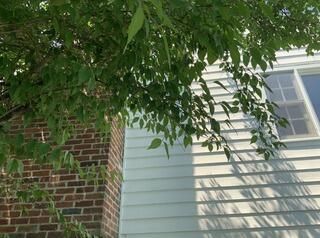 One-Point Radon Mitigation System Planned for Lakeville Home