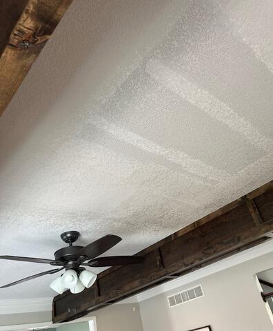 Ceiling Repair - Gardner KS