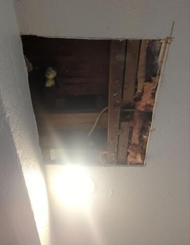Plaster Repair in Lees Summit, Missouri