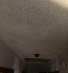 Ceiling Repair-Liberty, Missouri