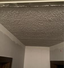 Ceiling Repair-Liberty, Missouri