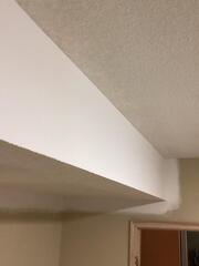 Ceiling Repair - Kansas City, Missouri