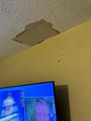 Ceiling Repair - Grandview, Missouri