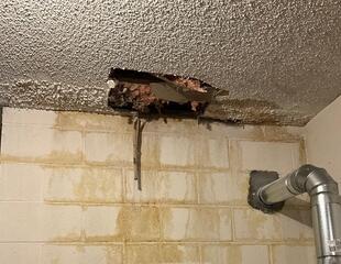 Popcorn Ceiling Repair -  Gardner, Kansas