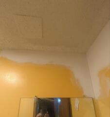 Ceiling Repair - Bonner Springs, Kansas