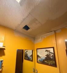 Ceiling Repair - Bonner Springs, Kansas