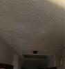 Ceiling Repair-Liberty, Missouri