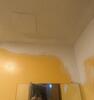Ceiling Repair - Bonner Springs, Kansas