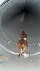 Duct Cleaning - Harcourt, IA