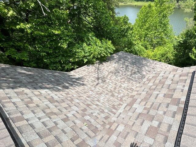 Tree Damage Replacement in Atlanta Georgia - After Photo