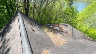 Tree Damage Replacement in Atlanta Georgia