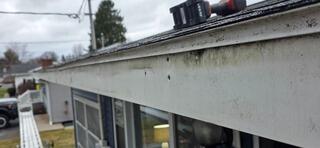 Gutter Cover Installation in Auburn, NY