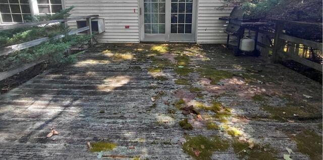 Moss Removal From Wooden Deck in Cheshire, CT - Before Photo