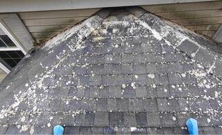 Moss Treatment on Roofing in Watertown, CT