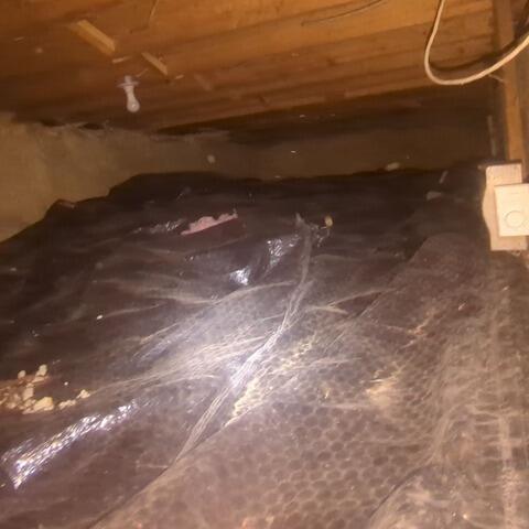 Repairing a crawl space in Baysville, ON - Before Photo