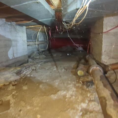 Repairing a humid crawl space in Newtonville, Ontario - Before Photo