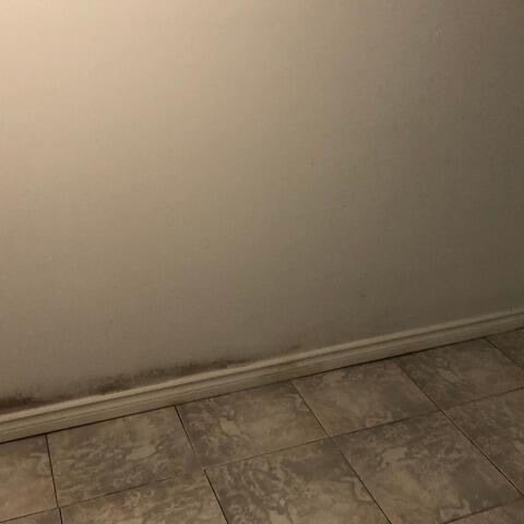 Repairing a serious foundation crack with push piers in Newtonville, Ontario