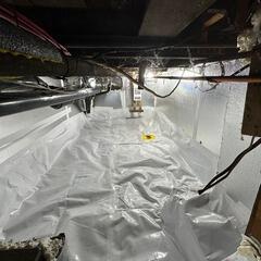 Pest infiltration solved in Waubaushene, Ontario