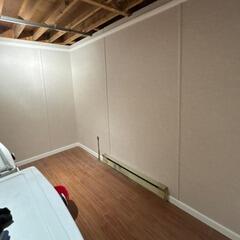 Complete Basement Transformation in Alliston, Ontario
