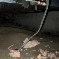 Crawl Space Makeover in Belle Ewart, ON