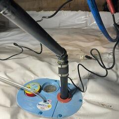 Crawl Space Makeover in Belle Ewart, ON
