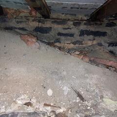 Water damage in a crawl space in Queensville, Ontario
