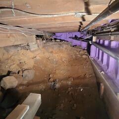 Crawl space repair in Coldwater, Ontario